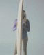MF X LAURA ENEVER - SUN BEAM PALM SPRINGS